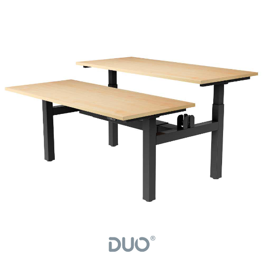 Yo-Yo DESK DUO Back-2-Back Height Adjustable Standing Desk